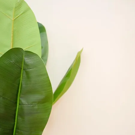 Apartment Liiiving In - Uptown Pearl *