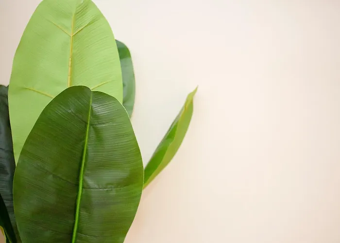 Διαμέρισμα Liiiving In - Uptown Pearl *