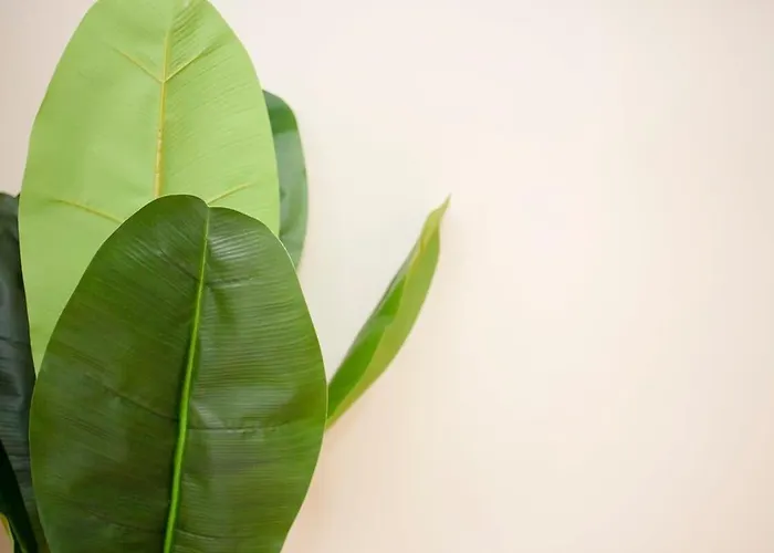 Apartman Liiiving In - Uptown Pearl *